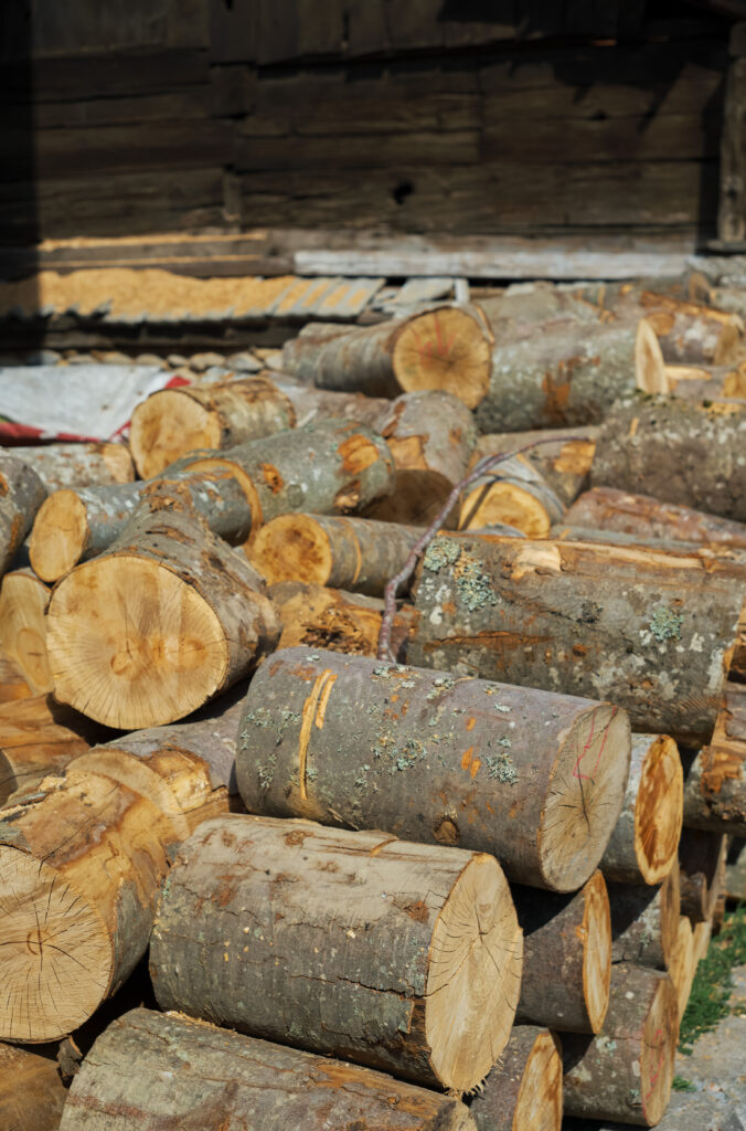 Tas de rondins de bois